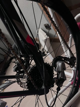 Giant Roam 2 Disc 2018 + Soporte