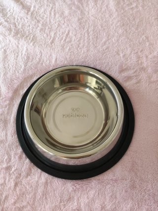 Kit completo para perro, paquete con variedad