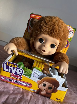 Little Live Pets Mi Mono Bebé 'Mango'