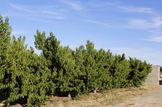 Parcela en venta Fraga