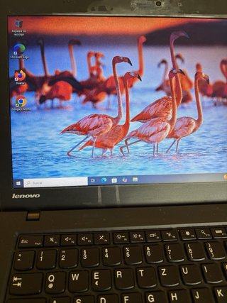 Lenovo Thinkpad T450