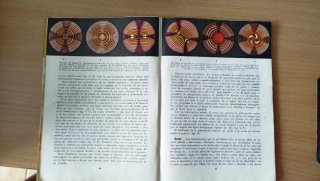 Libro antiguo de Mineralogía