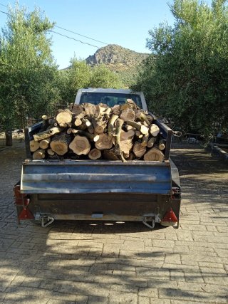 Leña de este año - 1200 kg