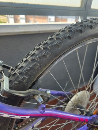 Bicicleta Morada y Rosa