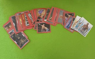 figurine WWE