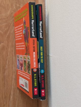 2 Libros Goosebumps HorrorLand (Inglés)