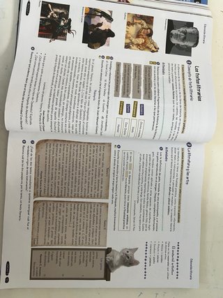 Lengua castellana y literatura 1o ESO