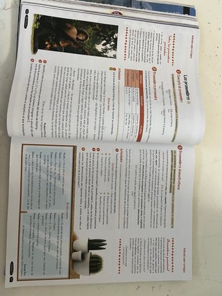 Lengua castellana y literatura 1o ESO