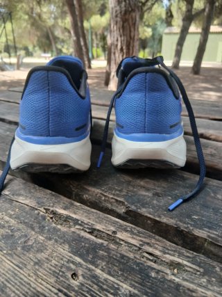 Nike Pegasus 41 Astronomy Blue Talla 41