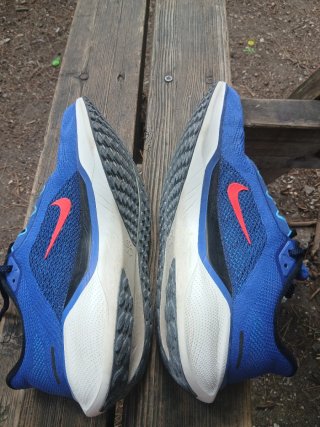 Nike Pegasus 41 Astronomy Blue Talla 41