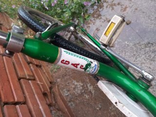 Bicicleta Plegable Verde mobylette