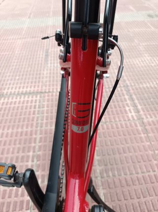 Bicicleta Urbana Gudereit Confort 7.