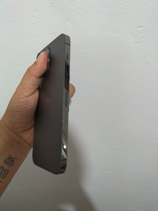 iPhone 13 Pro Max 256GB Gris