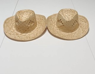 2 Sombreros de Paja