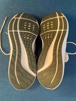 Nike Air Zoom Pegasus 39 Talla 39
