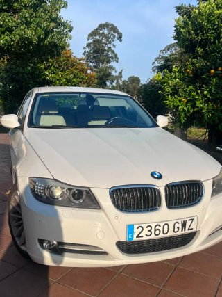 BMW Serie 3 2010