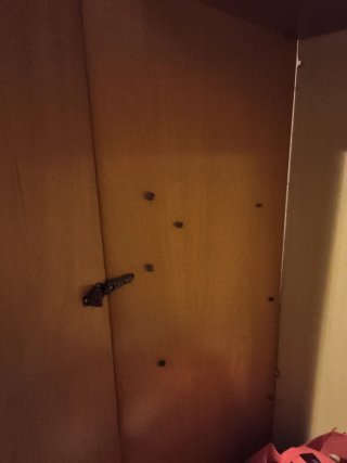 Armario grande de madera