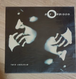 Vinilo Roy Orbison Mystery Girl
