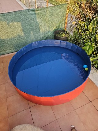 Piscina para perros plegable