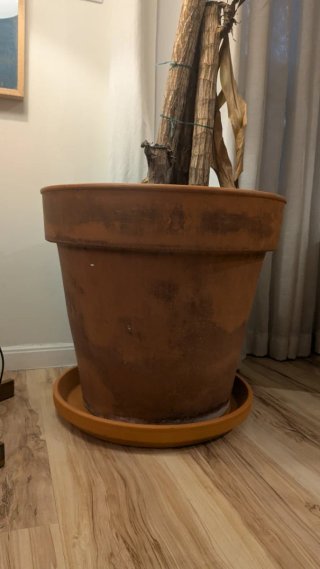 Maceta de terracota grande