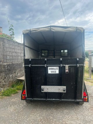 Remolque para caballos carnet de coche B