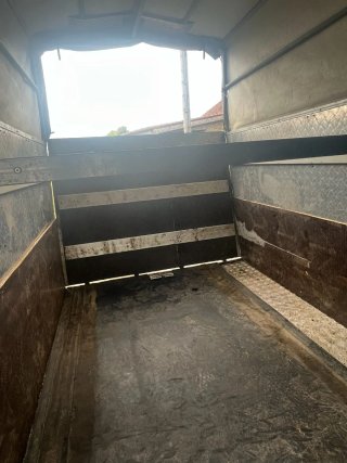 Remolque para caballos carnet de coche B