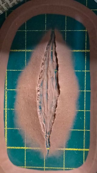 Protesi per effetti speciali taglio 6cm