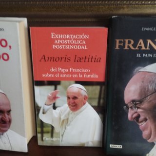 Libros sobre el Papa Francisco