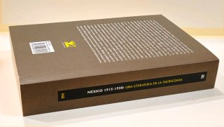 Libro México 1915-1920 literatura mexicana
