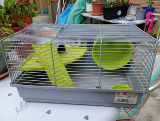 Jaula para hámster con accesorios