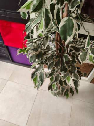 Planta Artificial Grande