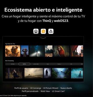 LG QNED MiniLED 55 4K titanio.