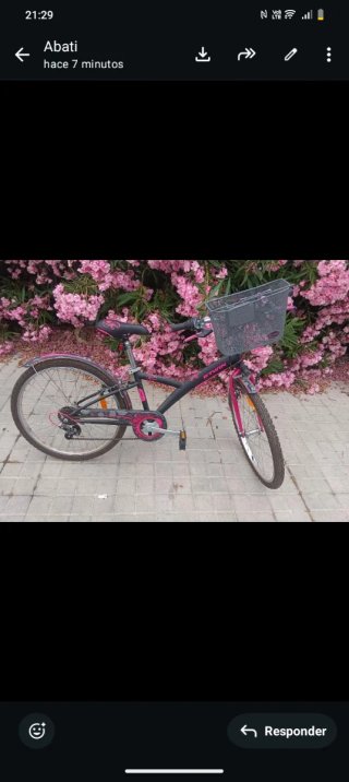 Bicicleta con cesta