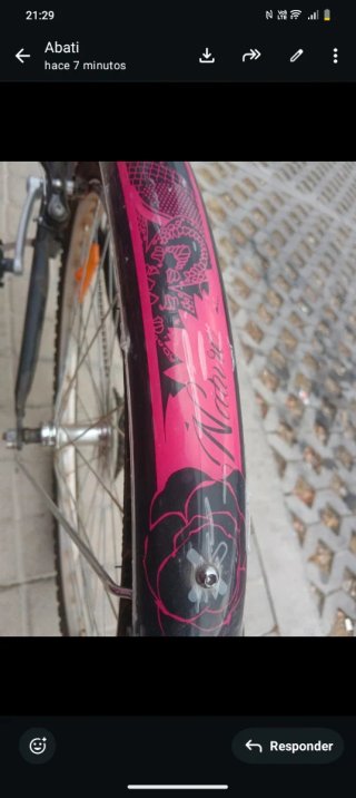 Bicicleta con cesta