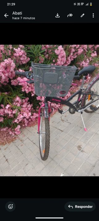 Bicicleta con cesta