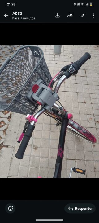 Bicicleta con cesta