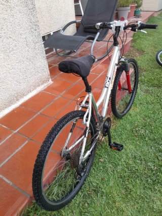Bicicleta de montaña plateada