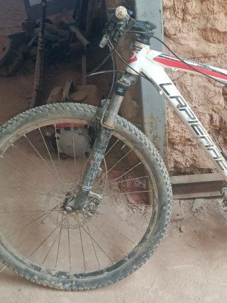 Bicicleta Montaña 29