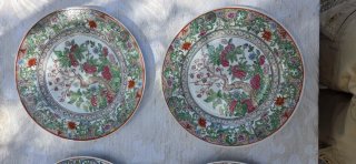 Juego de 6 Platos de Porcelana Decorados