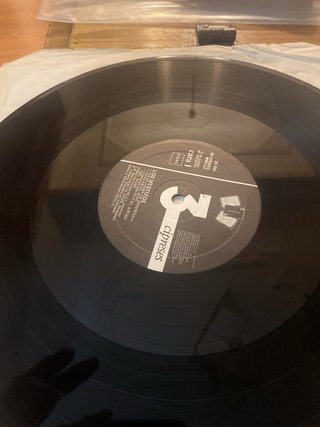 Mestizos por el día y por la noche Vinilo