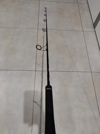 Caña de pesca Jigging Hard Bloody
