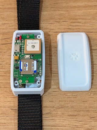 Localizador GPS Mascotas 2G GSM