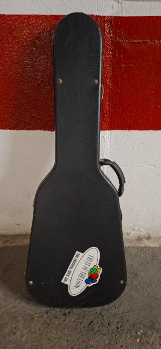 Funda para guitarra eléctrica negra dura.