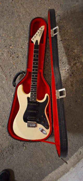 Funda para guitarra eléctrica negra dura.