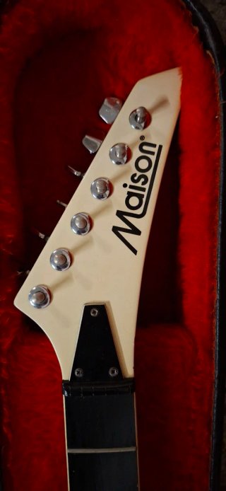 Funda para guitarra eléctrica negra dura.