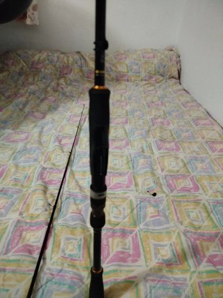Caña de spinning para pesca