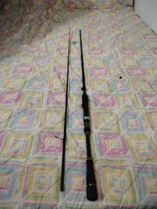 Caña de spinning para pesca