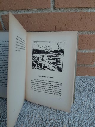 VISIONS DE CATALUNYA.            JUAN SANTAMARIA