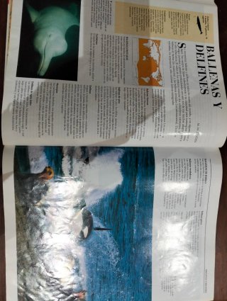 Enciclopedia de Los Animales
