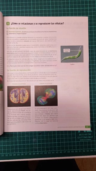 Biología y Geología, 4 Secundaria, Andalucía Re...